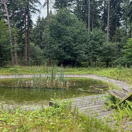 Cozy In With House A Panoramic View Dom wakacyjny