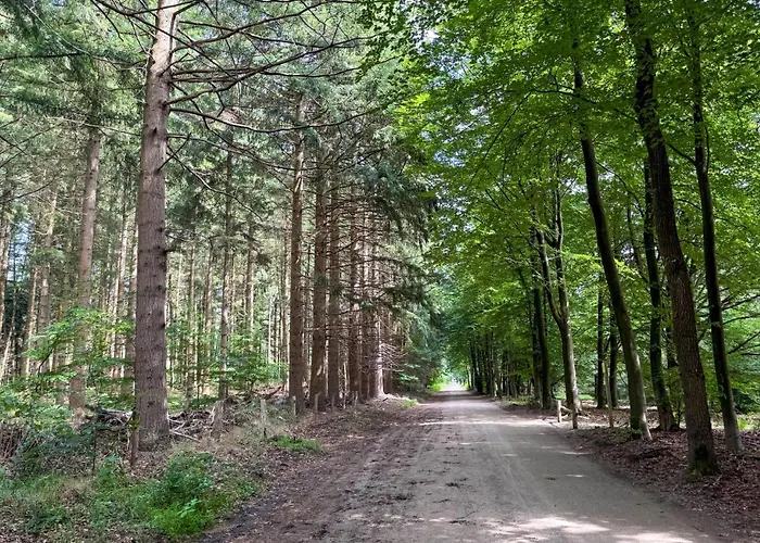 Cozy In With House A Panoramic View Epe